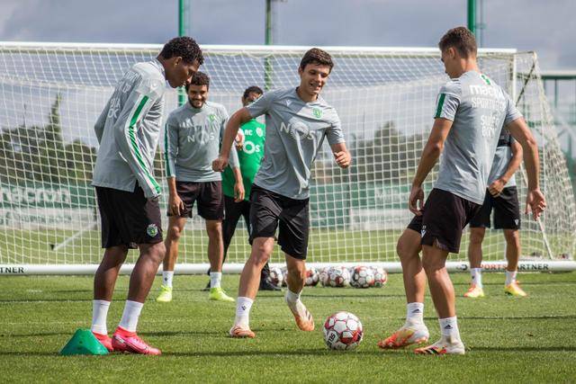 亚奥理事会官员盛赞三亚：彰显发展活力